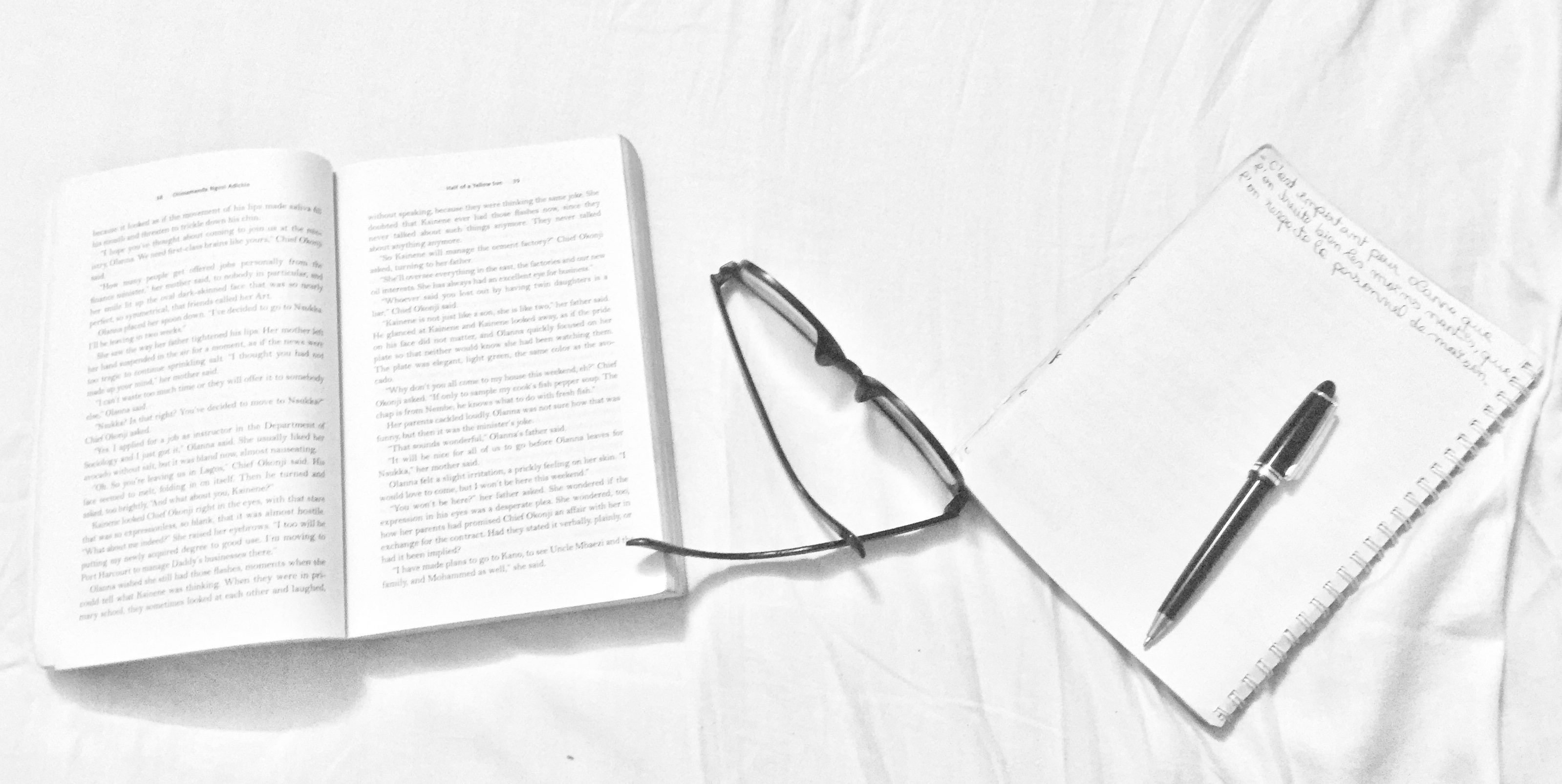 Half of a yellow sun 2.jpg