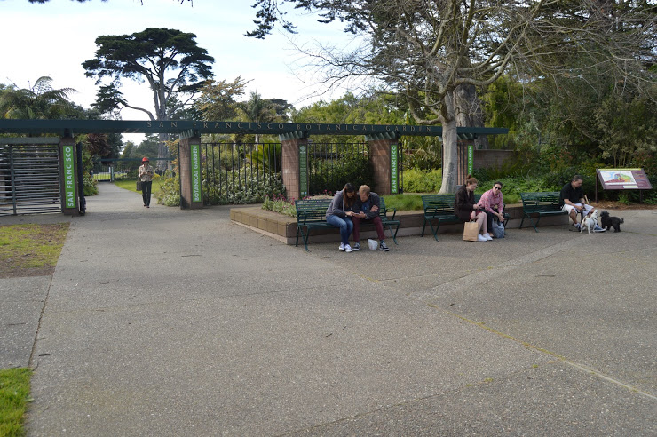 À la découverte du Jardin Botanique de San Francisco&nbsp;!