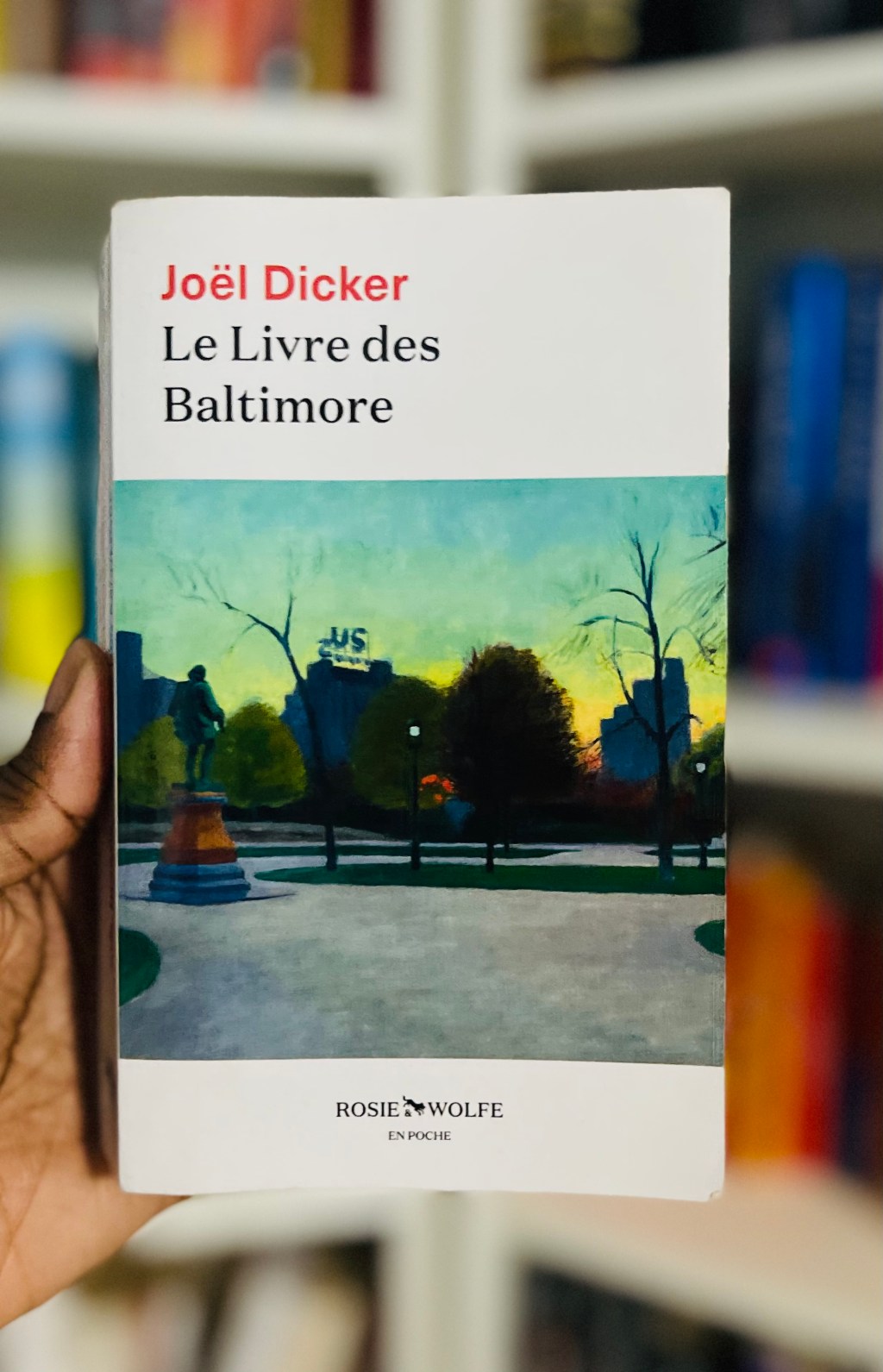 Le livre des Baltimore : 597 pages lues en 2 jours&nbsp;!